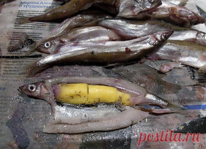 мойва в пироге - Foodclub — кулинарные рецепты с пошаговыми фотографиями