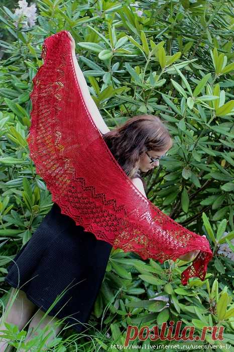 SCIALLE CHAFFINCH / PEIPPONEN