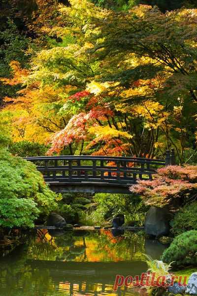 'Moon Bridge in Japanese Garden' by Chris Bidleman