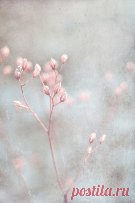 What if winter is not a place outside?