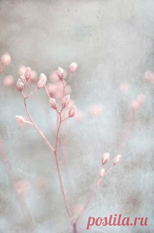 What if winter is not a place outside?