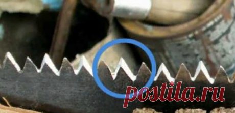 Домашние советы| Как и чем заточить пилу? | Ремхак | Яндекс Дзен