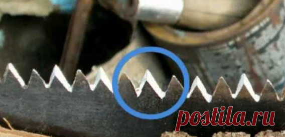 Домашние советы| Как и чем заточить пилу? | Ремхак | Яндекс Дзен