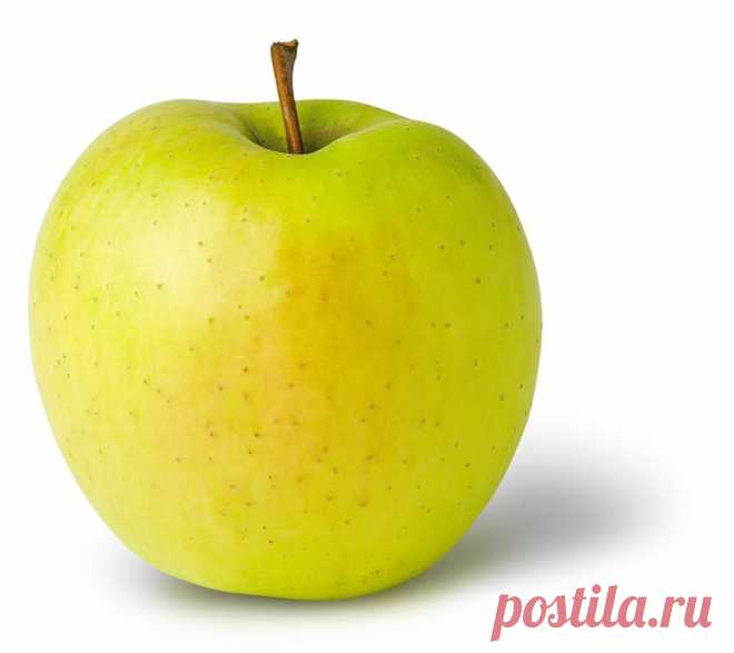 КОНСЕРВИРОВАННЫЙ ЯБЛОЧНЫЙ СОК
Отжатый любым из способов сок нужно процедить через несколько слоев марли (если вы любите сок с мякотью, то этого можно не делать), перелить в эмалированную кастрюлю, довести до кипения, удаляя появляющуюся пену, но не кипятить. Нагретый сок следует разлить в стерилизованные банки и герметично закрыть прокипяченными крышками. При желании в сок можно добавить сахар (2 столовые ложки на 1 литр жидкости). Законсервированный яблочный сок может храниться несколько лет.