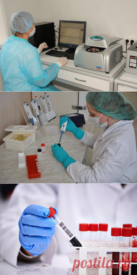 Значение лабораторных биохимических  исследований в диагностике болезней животных - БиоКорова