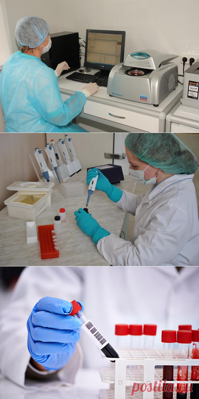 Значение лабораторных биохимических  исследований в диагностике болезней животных - БиоКорова