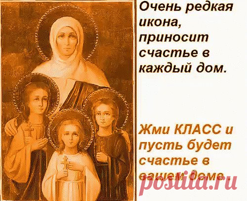 (49) Одноклассники