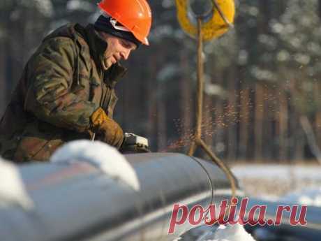 Газопровод проведут в Калининградскую область по берегу Балтийского моря - Телеканал «Звезда»