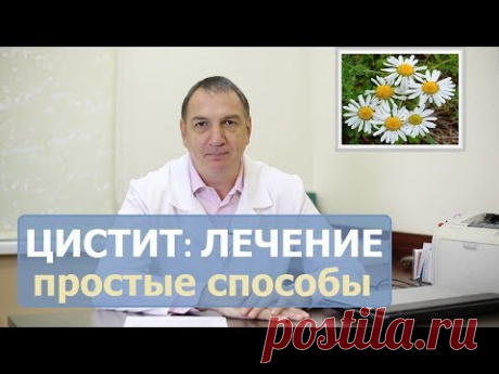 ЦИСТИТ, лечение  у женщин и мужчин. Как лечить цистит в домашних условиях.