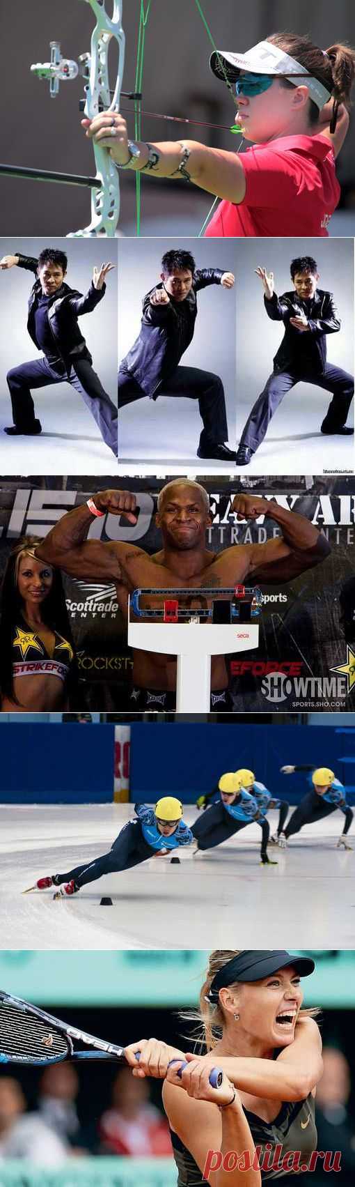 Ходьба скандинавская, Новус, Прыжки на лыжах с трамплина, Парашютный спорт, Стрельба из лука. (1/1) - Спортивный форум. - Спортивный сайт