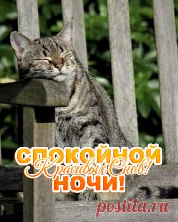 😃 Спокойной Ночи! 250+ новых картинок и открыток с красивыми пожеланиями https://postila.ru/post/80984450