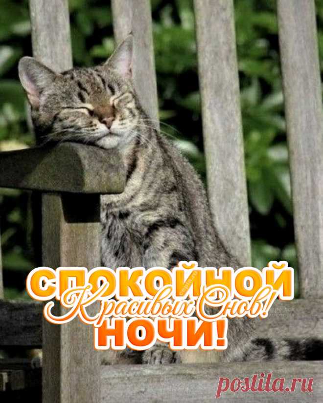 😃 Спокойной Ночи! 250+ новых картинок и открыток с красивыми пожеланиями https://postila.ru/post/80984450
