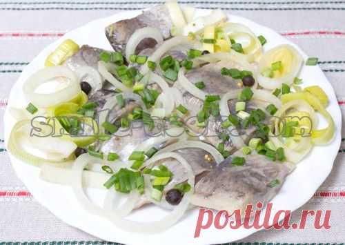 Маринованная сельдь - рецепт приготовления маринованной сельди