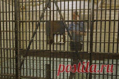 Несовершеннолетнюю девушку наняли охранять убийц и террористов