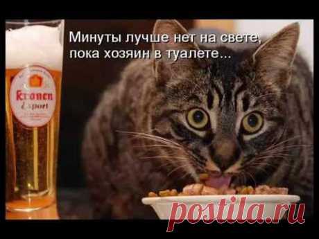 Незваный ужин - котоматрицы с кулинарным уклоном | Со вкусом