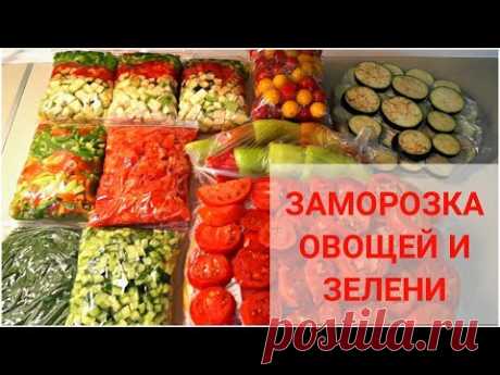 ЗАМОРОЗКА ОВОЩЕЙ и ЗЕЛЕНИ НА  ВСЮ ЗИМУ