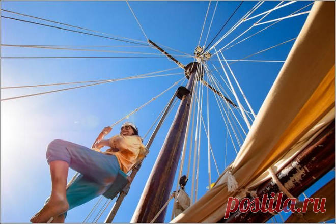 Морская прогулка по Атлантическому океану. Киты и дельфины. Тенерифе. Испания