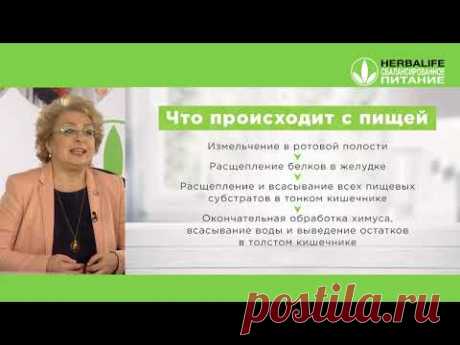 Пищеварение - овсяно-яблочный напиток