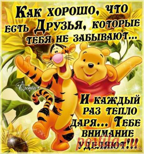 (302) Pinterest