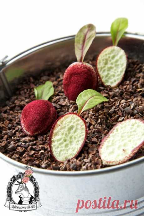 Рубрика: “Элементы кулинарного декорирования”

Хрустящая пористая меренга из яблочного сока в свекольной пудре.

Вариант несладкой меренги с ярким яблочным вкусом. Альбумин даёт очень хорошую текстуру - меренга получается хрустящей, но при этом мгновенно тающей на языке, высвобождая ароматы яблока.

Ингредиенты:
Свежевыжатый яблочный сок (яблоки Гренни Смит) – 250г.
Альбумин – 11г. (Приобрести можно здесь: vk.com/market-75556892?w=product-75556892_350998)
Ксантановая камед...