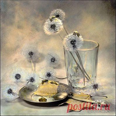 ✿*✿* ВЕРНИСАЖ *✿*✿
இڿڰۣ-ڰ Екатерина இڿڰۣ-ڰۣ