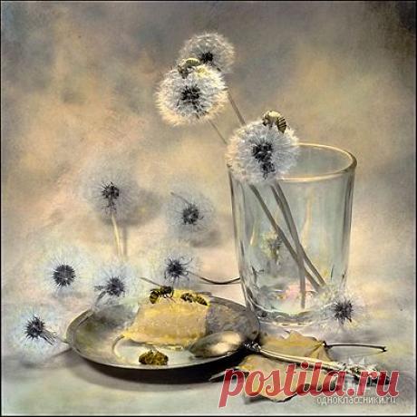 ✿*✿* ВЕРНИСАЖ *✿*✿
இڿڰۣ-ڰ Екатерина இڿڰۣ-ڰۣ