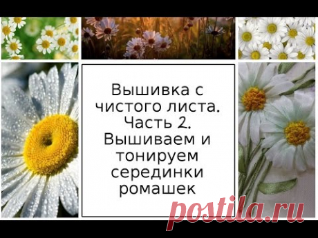 МК. Вышивка с чистого листа. Часть 2. Вышиваем и тонируем серединки ромашек. Разживалова Наталья
