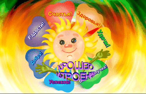 307372284870631.gif (488×315)