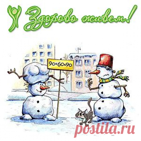 Функции белка в организме