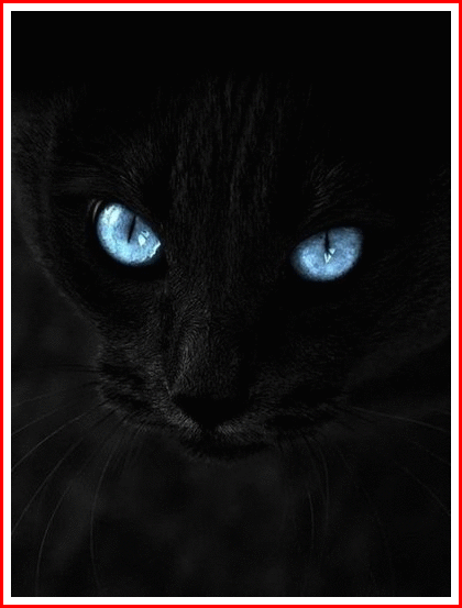 В час веселья - милый час,Други,вспомните о нас!