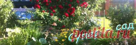 Подготовка почвы к посадкам | Супер сад