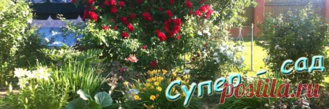 Подготовка почвы к посадкам | Супер сад