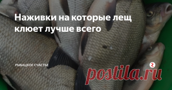 Наживки на которые лещ клюет лучше всего Это наживки из естественной среды обитания...