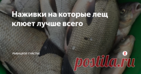 Наживки на которые лещ клюет лучше всего Это наживки из естественной среды обитания...