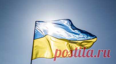 Майор ВСУ Мамалуй: Украина находится в шаге от введения трудовой повинности. Александр Мамалуй, заместитель главы Верховного суда, майор украинской армии, считает, что страна находится в одном шаге от введения трудовой повинности, предполагающей, что граждане начнут работать за пайки и талоны. Читать далее