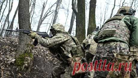 3-4-25--ГД РФ наделила участников боев в приграничье СТАТУСОМ ВЕТЕРАНОВ - Новости Mail