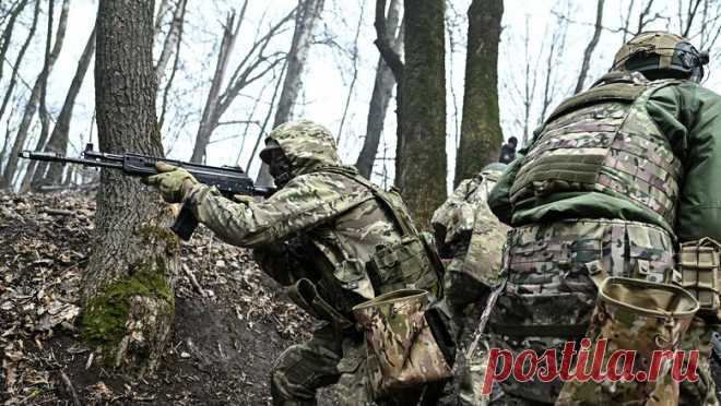 3-4-25--ГД РФ наделила участников боев в приграничье СТАТУСОМ ВЕТЕРАНОВ - Новости Mail