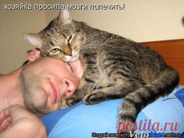 По просьбе хозяйки