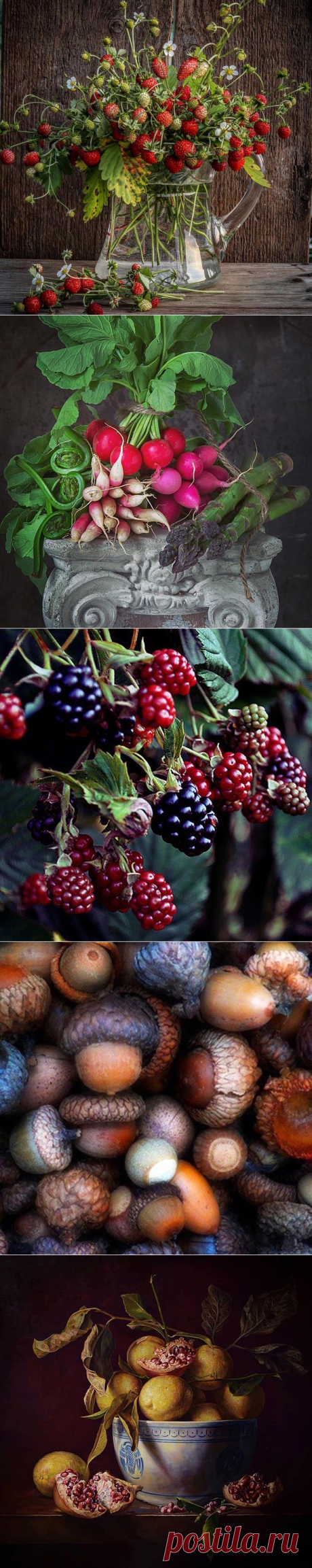 Pakira (@pakiradekor) • Фото и видео в Instagram