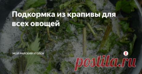 Подкормка из крапивы для всех овощей Все знают, что без хорошей подкормки, не собрать хорошего урожая не с каких овощей.
Каждый год, для своих овощей, я готовлю чудо-подкормку из крапивы!
Для приготовления такой подкормки я использую большую 50-литровую полиэтиленовую бочку. Бочку в свою очередь ставлю в теплицу, где у меня растут огурцы, потом скажу почему именно так...
Вдоль речки у нас растёт очень много крапивы, поэтому "материал