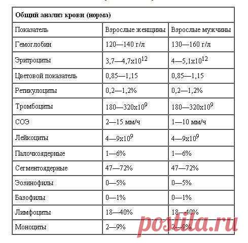 Валентина: НЕ ИГРАЮ!!!