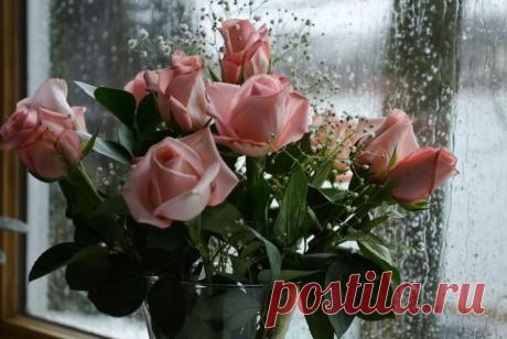 Цветы на фото для вас