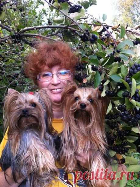 Ирина Пантина(Ежова)
52 года, Россия, г. Пестово (Пестовский район)
