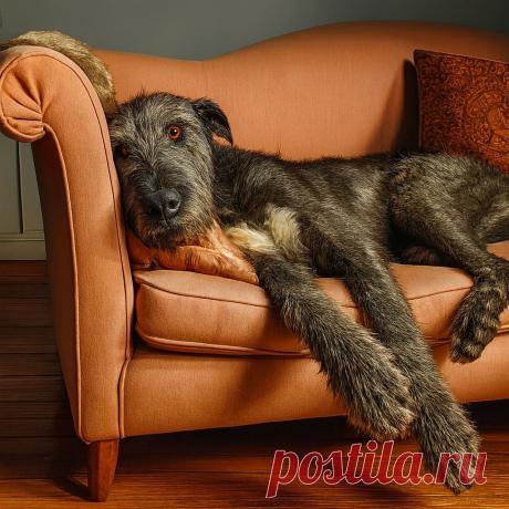 Отель «У Самсона» - OGADANIE.RU