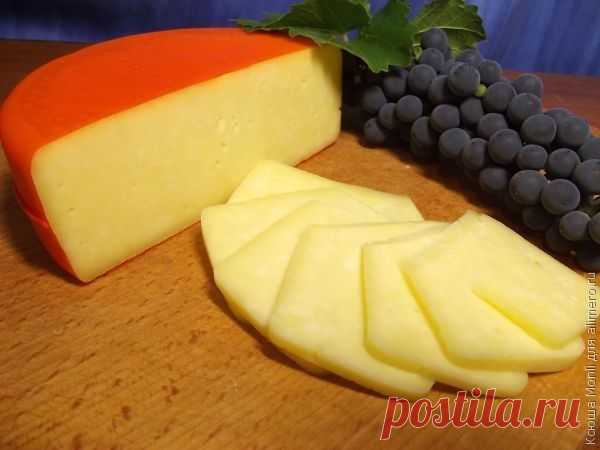 Сыр Российский в домашних условиях. Часть 1 / Рецепты с фото