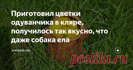Приготовил цветки одуванчика в кляре, получилось так вкусно, что даже собака ела