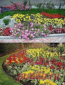 Поиск на Постиле: цветы для дачи