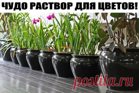 (8) Одноклассники