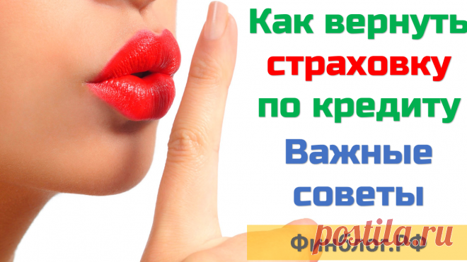 Как вернуть страховку по кредиту | Инструкция по возврату