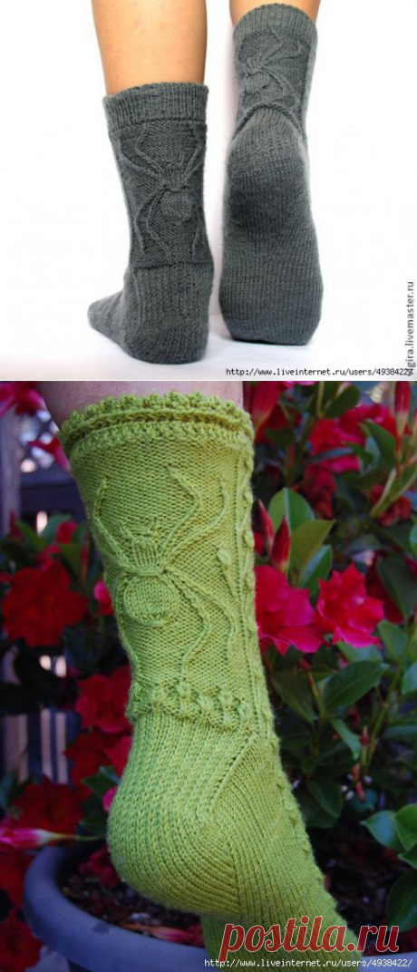 Носки с пауком.